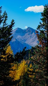 Preview wallpaper mountains, trees, autumn, landscape, branches, peak