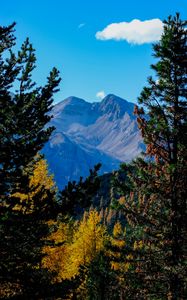 Preview wallpaper mountains, trees, autumn, landscape, branches, peak