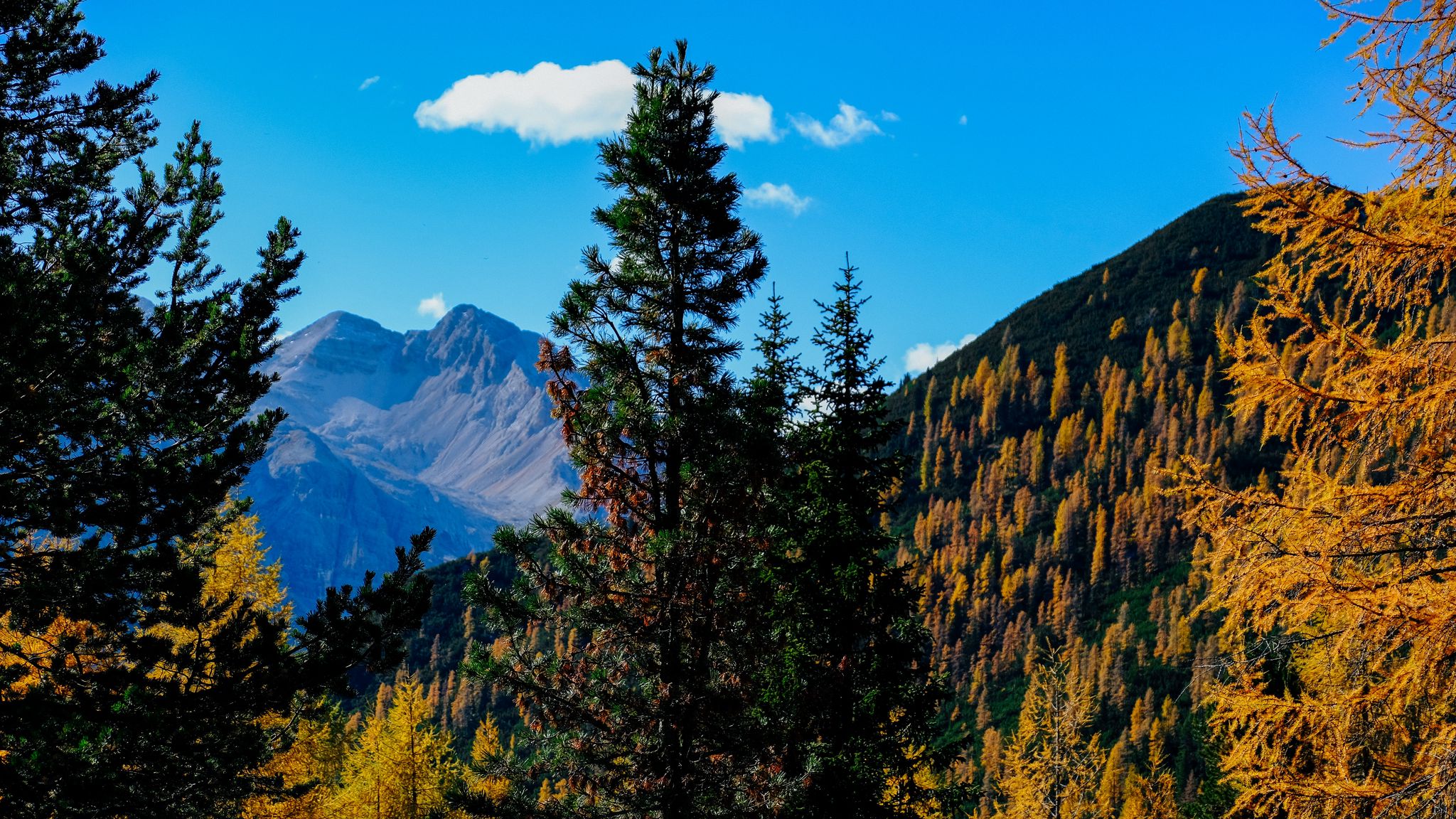 Download wallpaper 2048x1152 mountains, trees, autumn, landscape