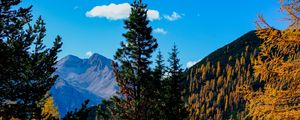 Preview wallpaper mountains, trees, autumn, landscape, branches, peak