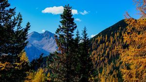 Preview wallpaper mountains, trees, autumn, landscape, branches, peak