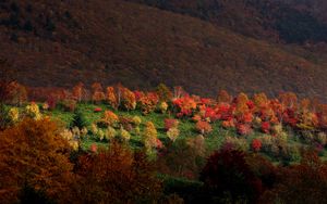 Preview wallpaper mountains, trees, autumn, grass