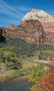 Preview wallpaper mountains, trees, autumn, vegetation, variety, river