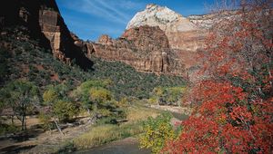 Preview wallpaper mountains, trees, autumn, vegetation, variety, river