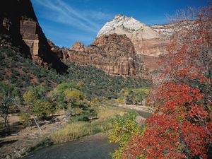 Preview wallpaper mountains, trees, autumn, vegetation, variety, river