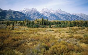 Preview wallpaper mountains, trees, autumn, grass, tops, fur-trees