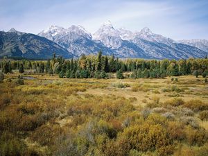 Preview wallpaper mountains, trees, autumn, grass, tops, fur-trees