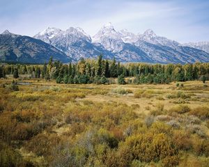 Preview wallpaper mountains, trees, autumn, grass, tops, fur-trees