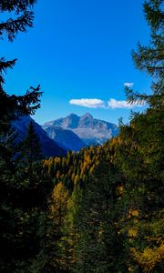 Preview wallpaper mountains, trees, branches, overview, autumn, landscape