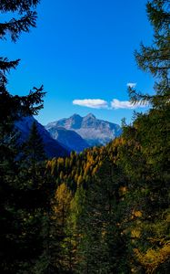 Preview wallpaper mountains, trees, branches, overview, autumn, landscape