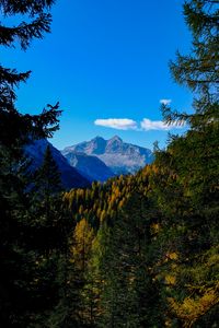 Preview wallpaper mountains, trees, branches, overview, autumn, landscape