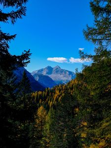Preview wallpaper mountains, trees, branches, overview, autumn, landscape