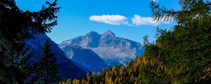 Preview wallpaper mountains, trees, branches, overview, autumn, landscape