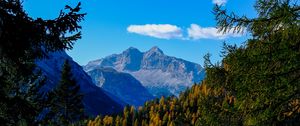 Preview wallpaper mountains, trees, branches, overview, autumn, landscape