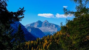 Preview wallpaper mountains, trees, branches, overview, autumn, landscape