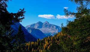 Preview wallpaper mountains, trees, branches, overview, autumn, landscape