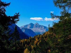 Preview wallpaper mountains, trees, branches, overview, autumn, landscape