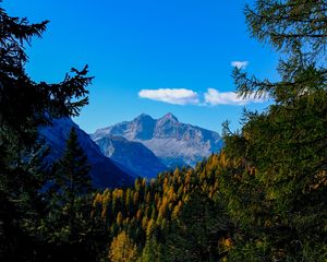 Preview wallpaper mountains, trees, branches, overview, autumn, landscape