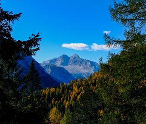 Preview wallpaper mountains, trees, branches, overview, autumn, landscape