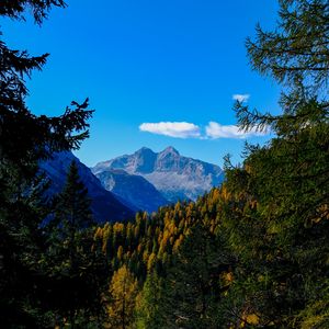 Preview wallpaper mountains, trees, branches, overview, autumn, landscape