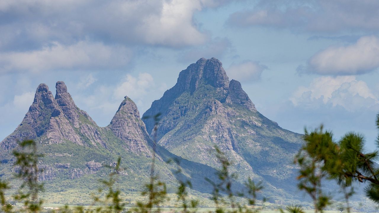 Wallpaper mountains, trees, branches, nature