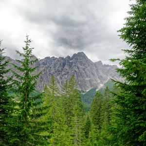 Preview wallpaper mountains, trees, branches, landscape