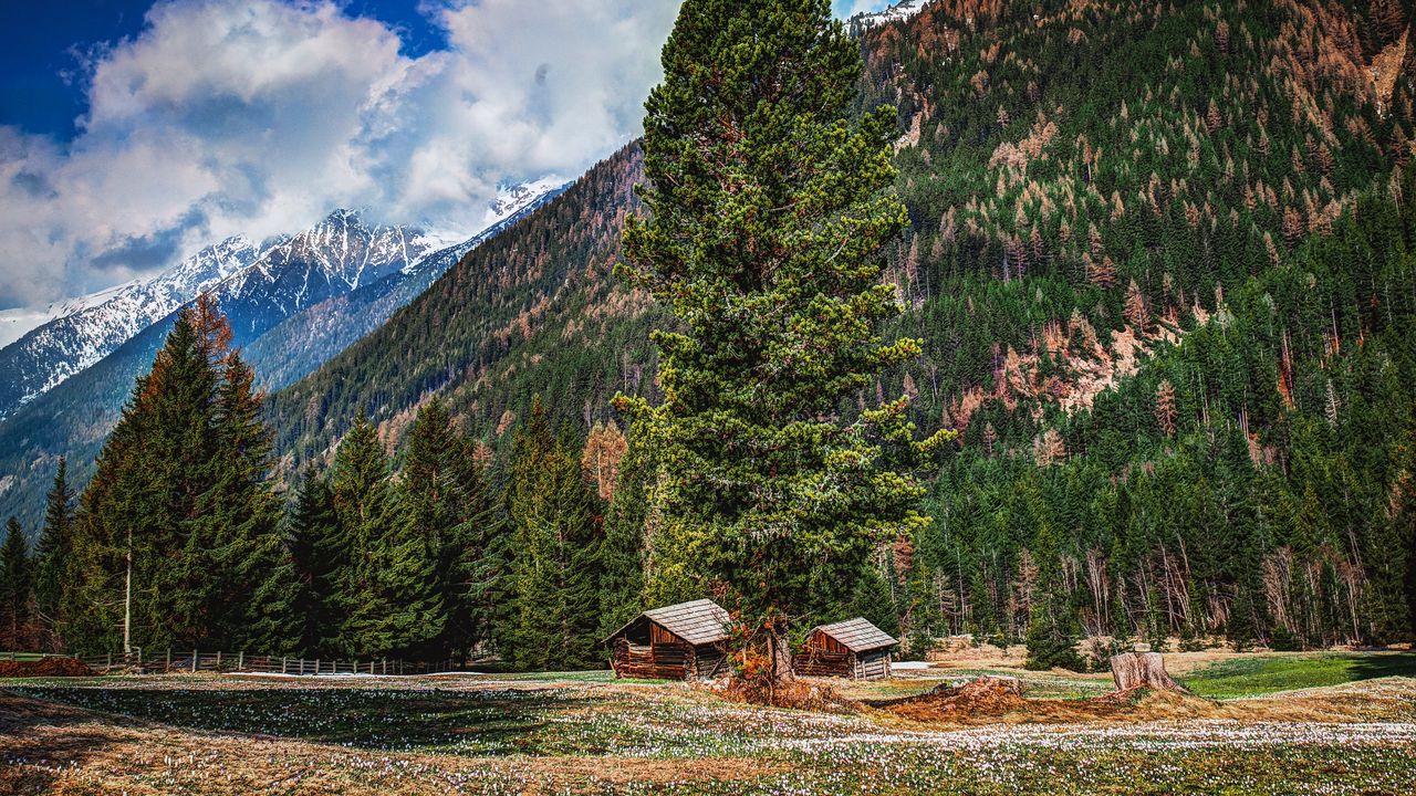 Wallpaper mountains, trees, buildings, forest