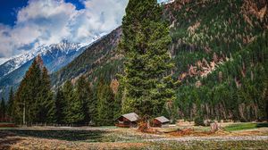Preview wallpaper mountains, trees, buildings, forest