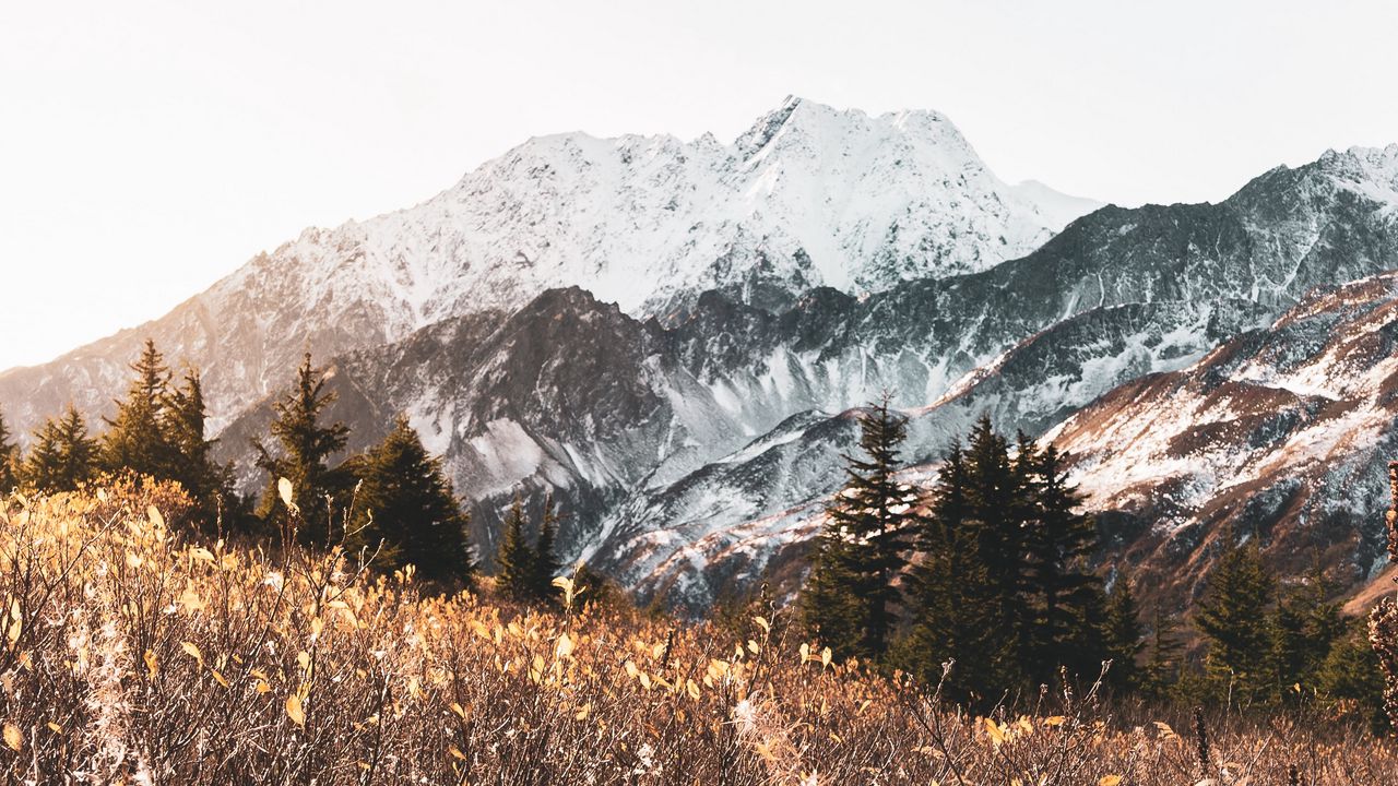 Wallpaper mountains, trees, bushes, landscape, nature