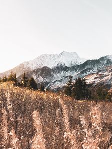 Preview wallpaper mountains, trees, bushes, landscape, nature
