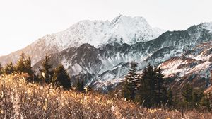 Preview wallpaper mountains, trees, bushes, landscape, nature