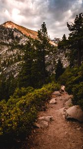 Preview wallpaper mountains, trees, bushes, path, nature