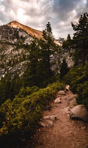 Preview wallpaper mountains, trees, bushes, path, nature