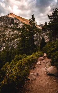 Preview wallpaper mountains, trees, bushes, path, nature