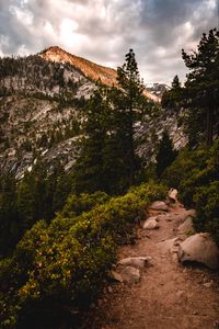 Preview wallpaper mountains, trees, bushes, path, nature