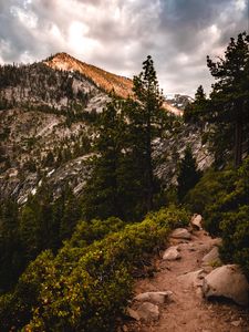 Preview wallpaper mountains, trees, bushes, path, nature
