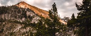 Preview wallpaper mountains, trees, bushes, path, nature