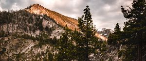 Preview wallpaper mountains, trees, bushes, path, nature
