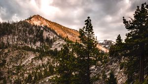 Preview wallpaper mountains, trees, bushes, path, nature