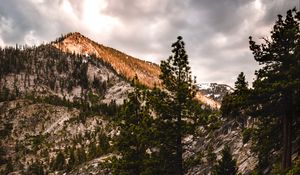 Preview wallpaper mountains, trees, bushes, path, nature