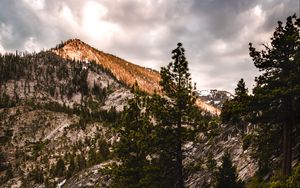 Preview wallpaper mountains, trees, bushes, path, nature