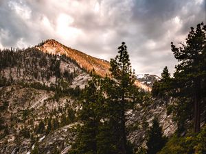 Preview wallpaper mountains, trees, bushes, path, nature