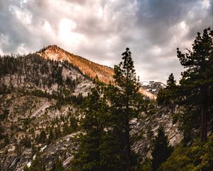 Preview wallpaper mountains, trees, bushes, path, nature