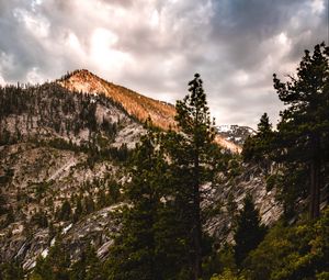 Preview wallpaper mountains, trees, bushes, path, nature