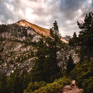 Preview wallpaper mountains, trees, bushes, path, nature