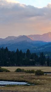 Preview wallpaper mountains, trees, bushes, grass, distance