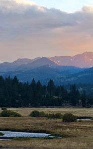 Preview wallpaper mountains, trees, bushes, grass, distance