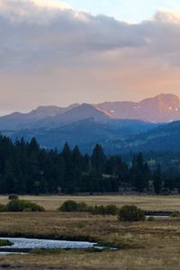 Preview wallpaper mountains, trees, bushes, grass, distance