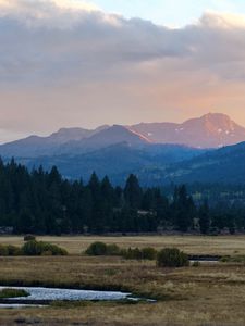 Preview wallpaper mountains, trees, bushes, grass, distance