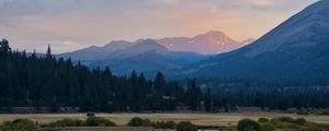 Preview wallpaper mountains, trees, bushes, grass, distance